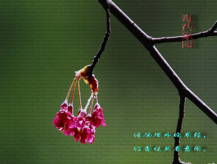 һ֦