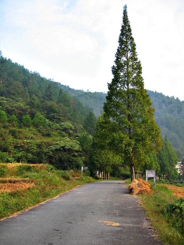 Ƭ 080.jpg