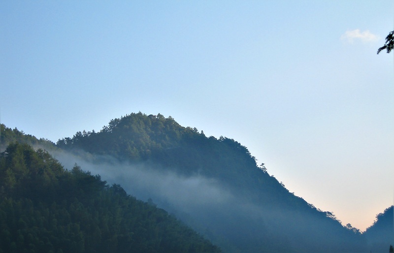 Ƭ 010.jpg