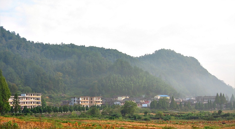 Ƭ 079.jpg