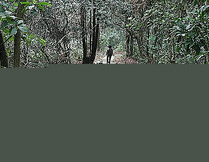 ּС