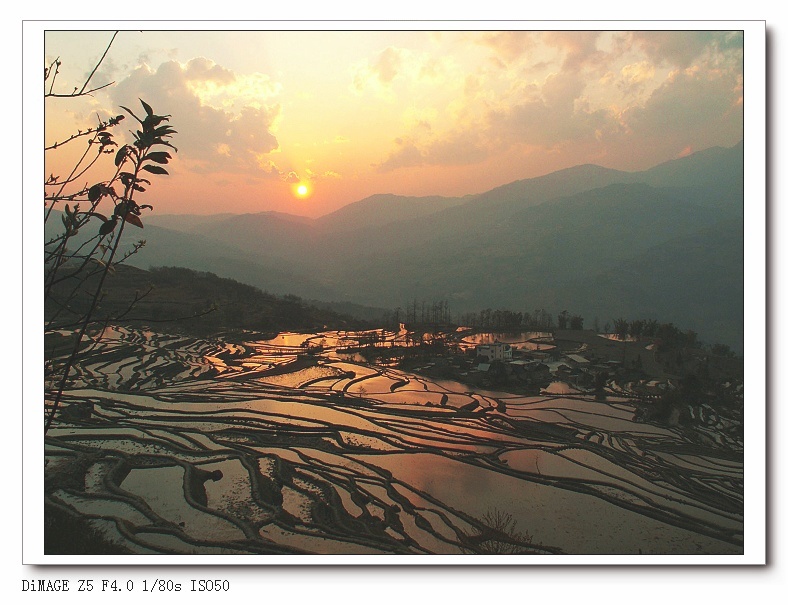 PICT2910_nEO_IMG.jpg