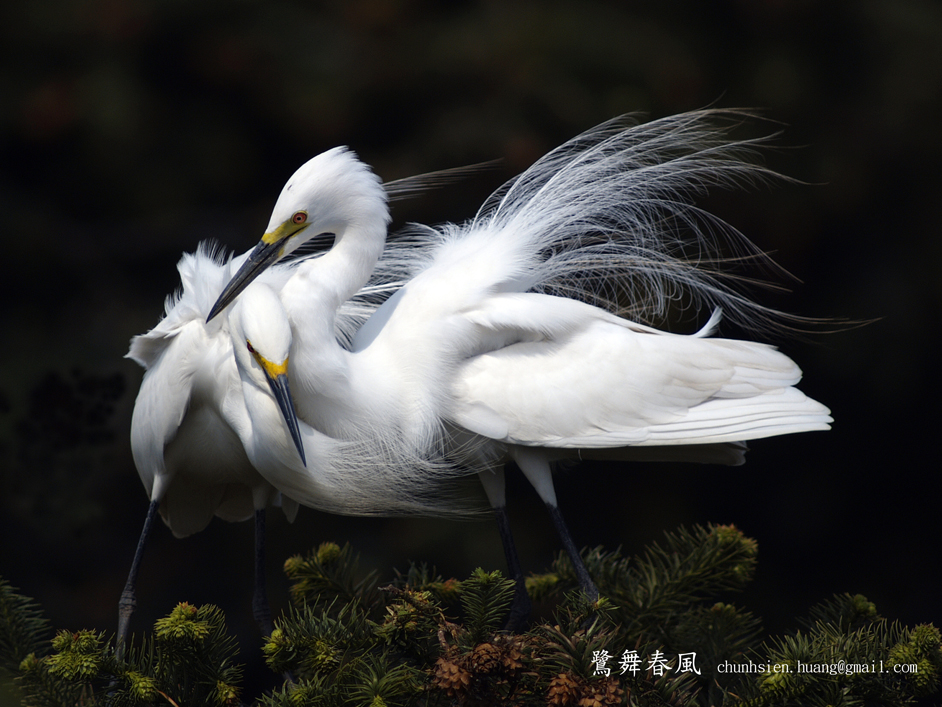 贺L3.jpg