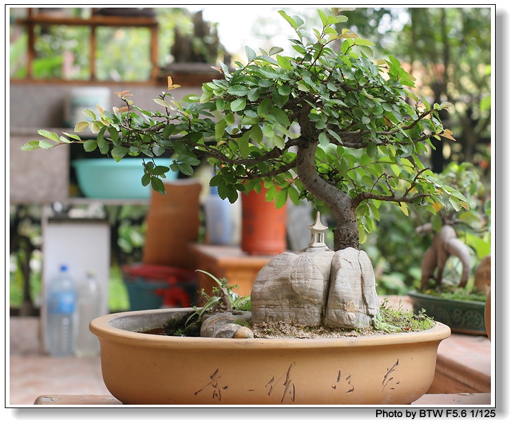 �辰9606.jpg