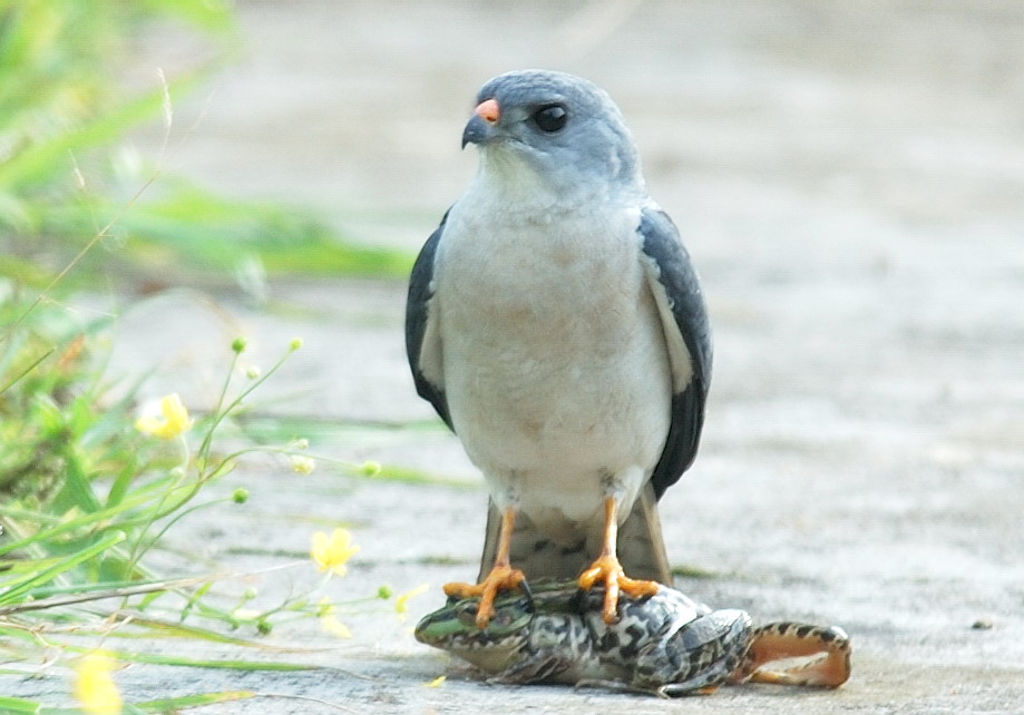 DSC_5754.jpg