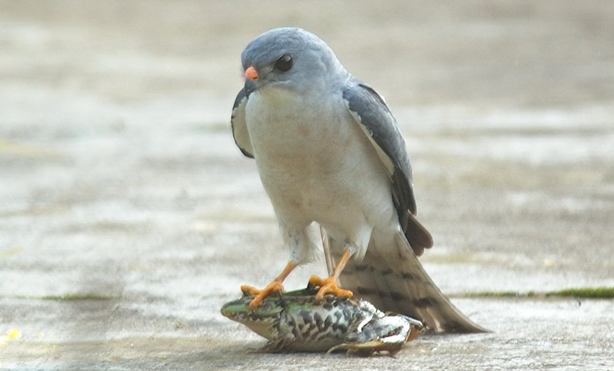 DSC_5749.jpg