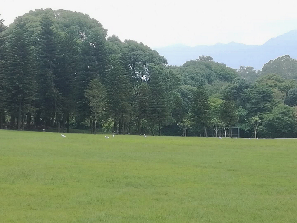 ΢ͼƬ_20190528163021.jpg
