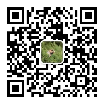 234809selg4z2u5a2q4030.jpg