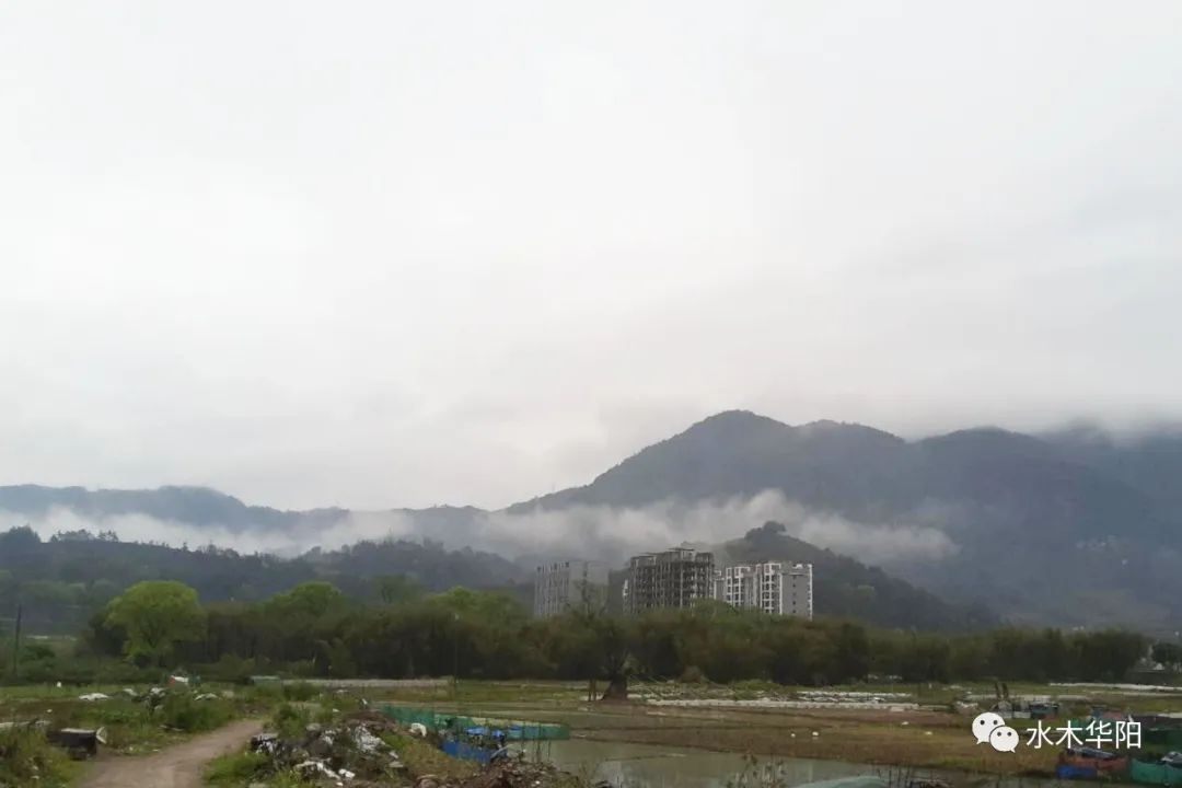 210507e599j90jlcjc9jr9.jpg