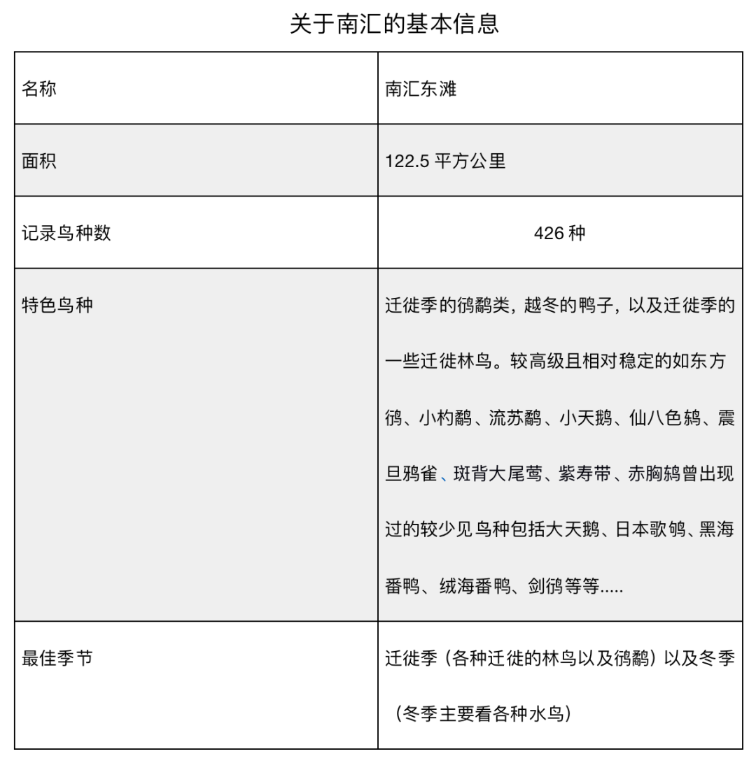 204722yuy138q3q4iy6ss6.jpg