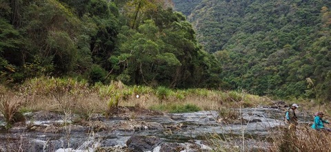 202012原生地生境3.jpg