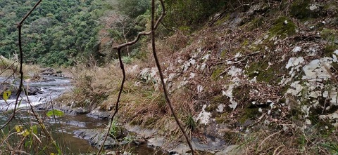 20201208原生地4.jpg