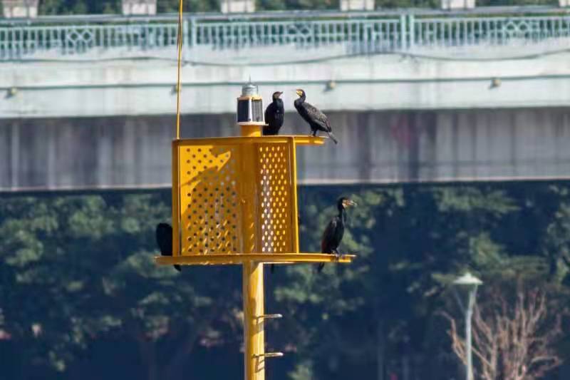 微信图片_20201228204039.jpg