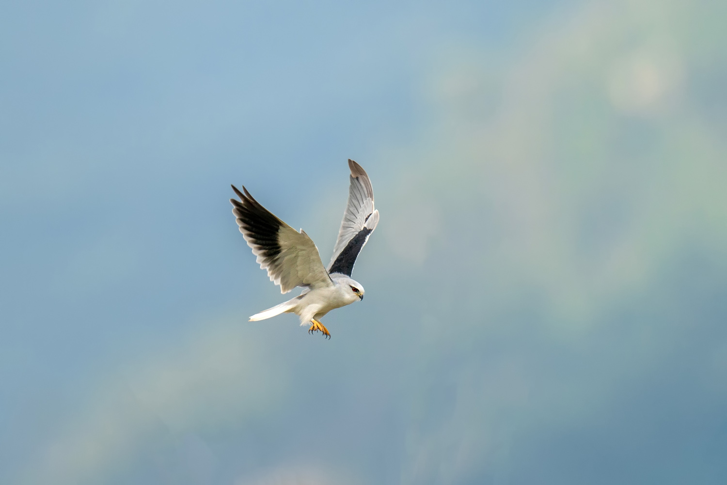 A9D02675a.jpg
