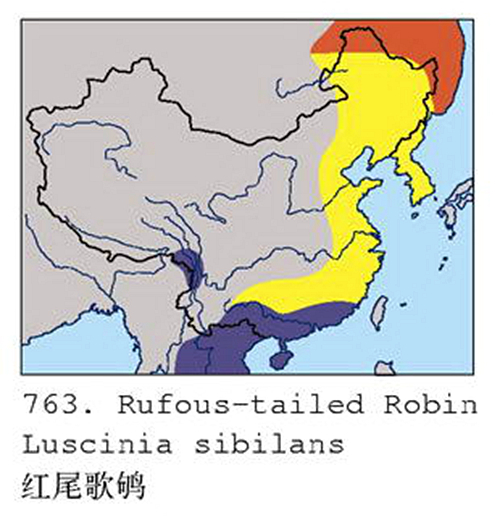 红尾歌鸲分布图.jpg