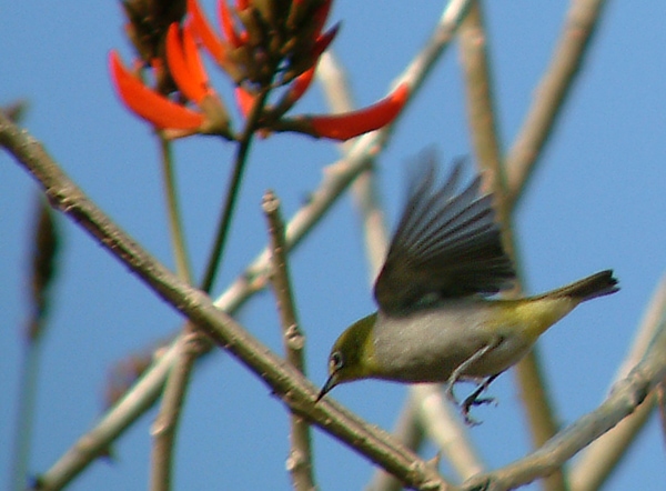 A2007_0108_025950AA.jpg