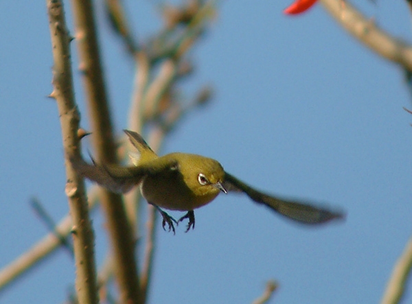 A2007_0108_032754AA.jpg