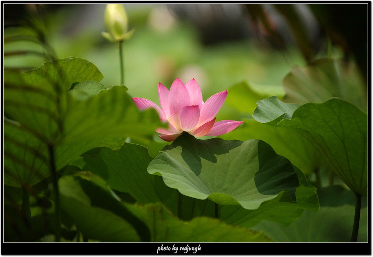 DSC_6197.jpg