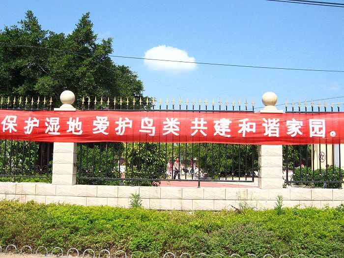 10月19日长乐潭头中心小学爱鸟宣传活动