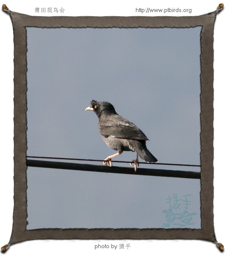20061223ľϪ̽Դ֮ãܶԱ