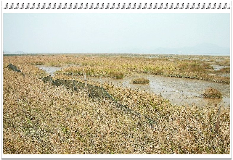 200622̲Ƭ