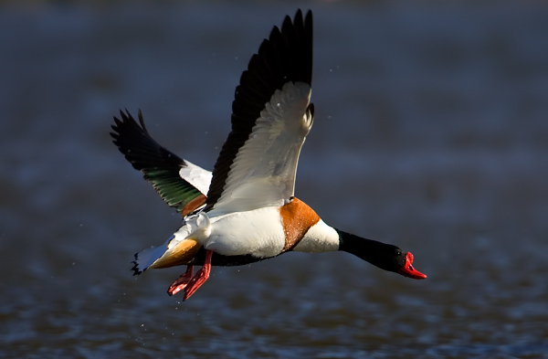 ���룬��������