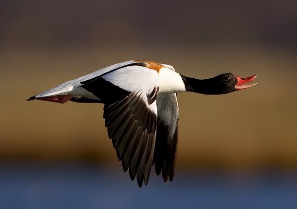 ���룬��������