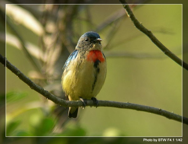 ��ɽ�����������Ļ���