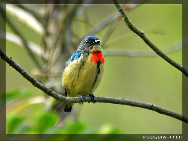 ��ɽ�����������Ļ���