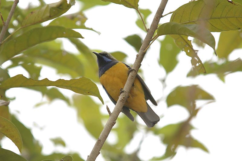 20063016ɭ�ֹ�԰