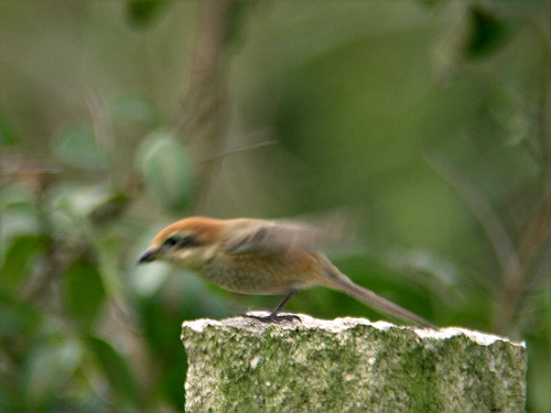 ��������ǵ��ջ����൱�ķḻ!