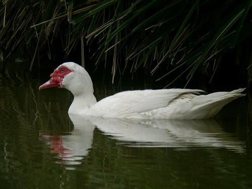 ��������ǵ��ջ����൱�ķḻ!