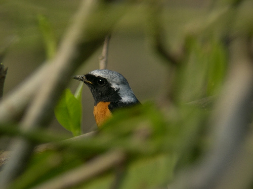 ��������ǵ��ջ����൱�ķḻ!