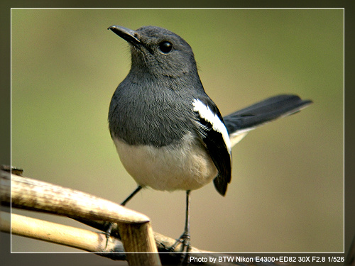 ��������ǵ��ջ����൱�ķḻ!