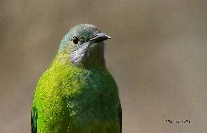 Ҳ�������ͼ