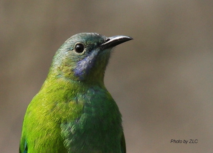 Ҳ�������ͼ