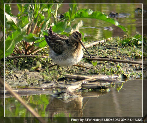 ��������,�Ǻں���