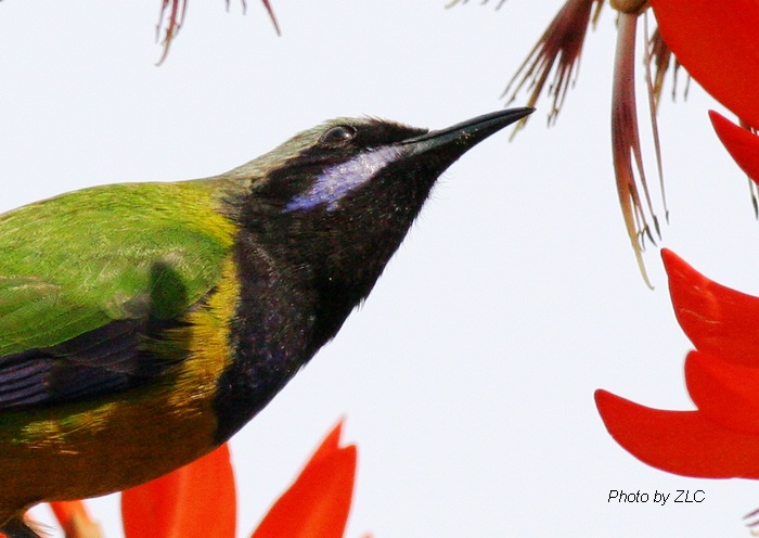 Ҳ�������ͼ