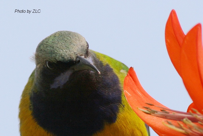 Ҳ�������ͼ