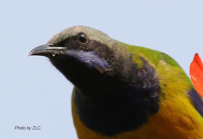 Ҳ�������ͼ