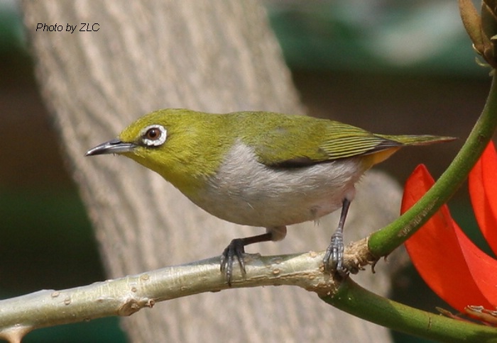 Ҳ�������ͼ