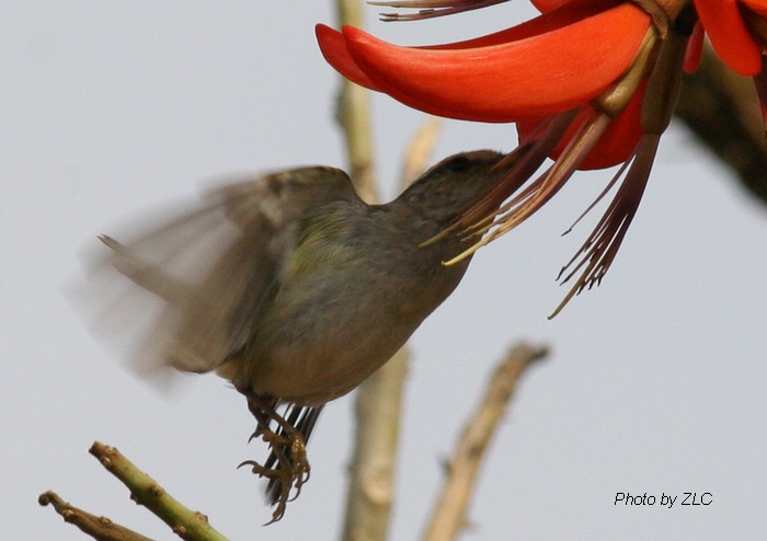 Ҳ�������ͼ