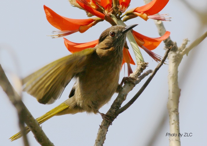 Ҳ�������ͼ