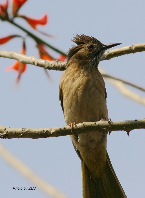 Ҳ�������ͼ