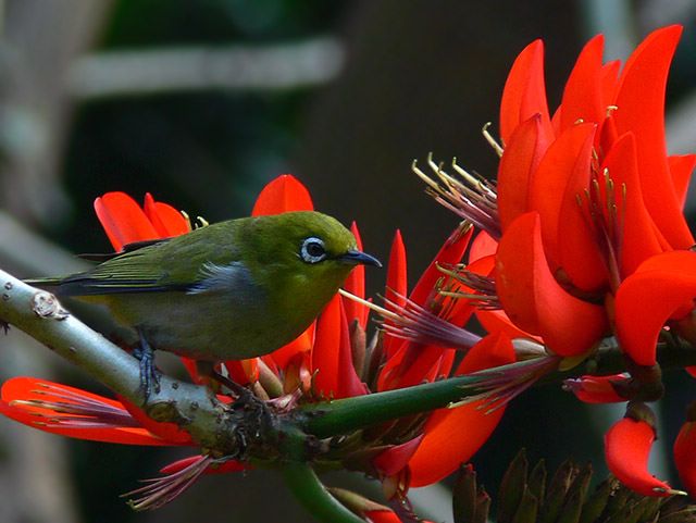 [ԭ��]��������FZ����������