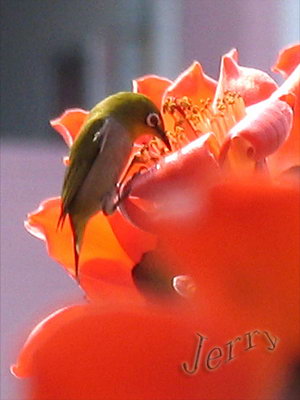 ľ޻ã