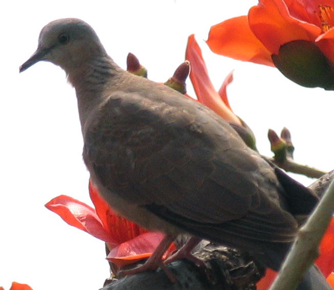 ľ޻ã