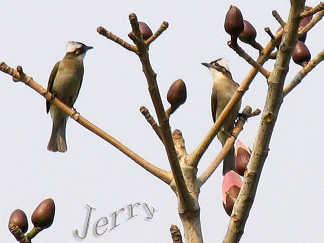 ľ޻ã