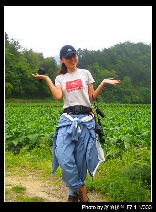 [] 200651գ55 ֮MMƪ