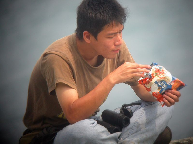 率先发鸟岛考察照片